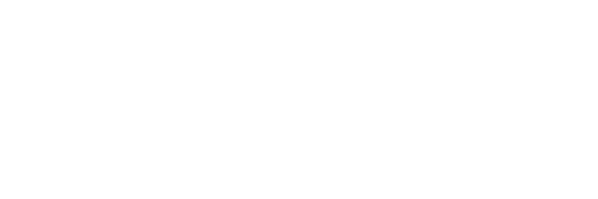 Lopes Advisory Logo Dark Background